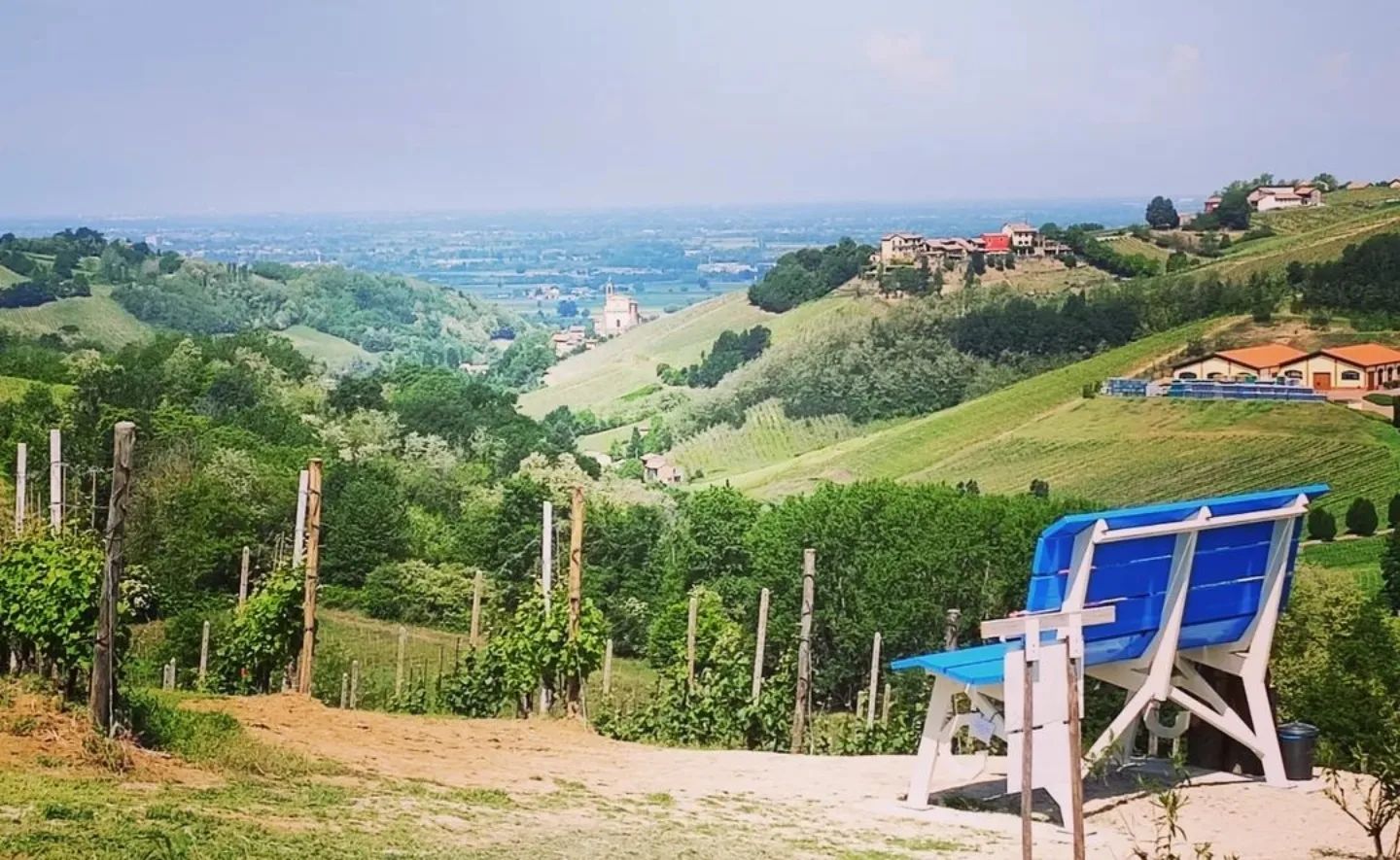 Panchina Gigante di Mornico Losana 198