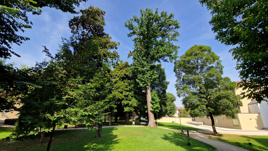 Giardini Malaspina Pavia
