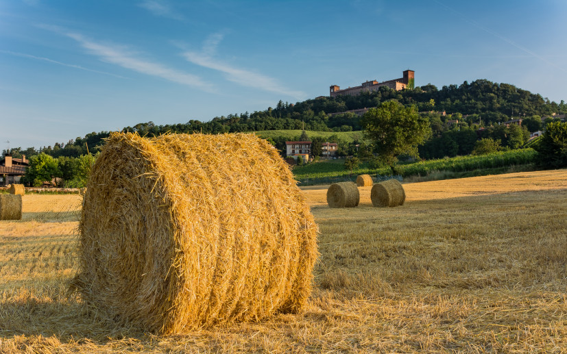 Montalto Pavese