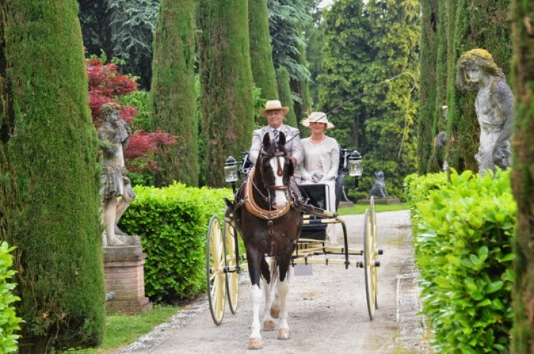 Fondazione Bussolera Branca