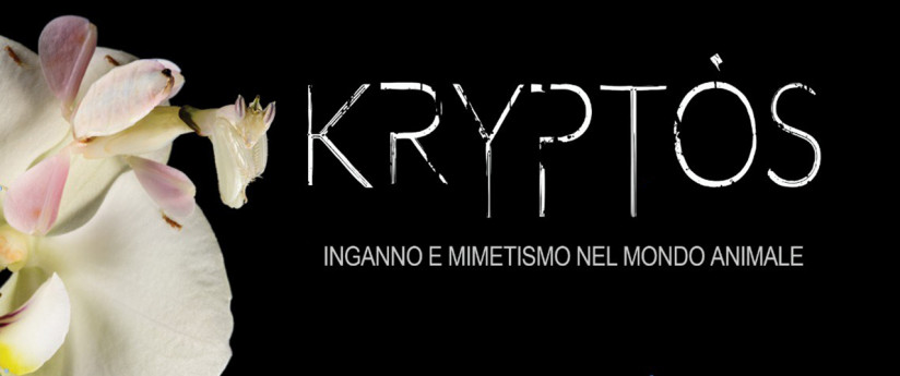 Kriptos