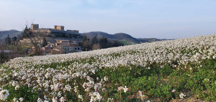 Trekking  delle sorgenti a Montesegale