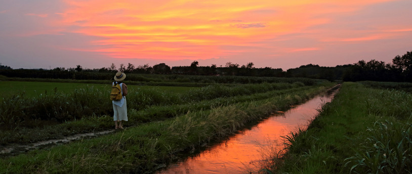 Via Francigena