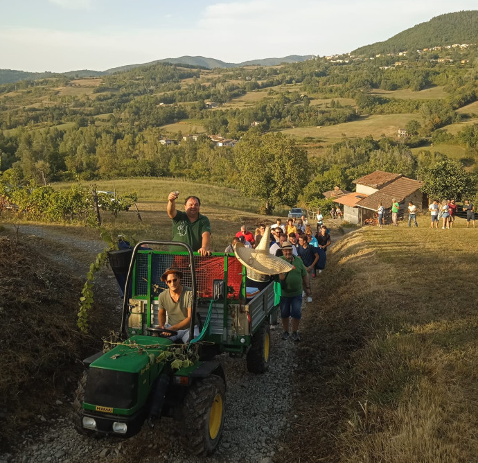 Festa delle Cantine di Cignolo
