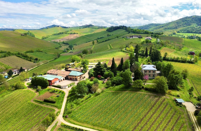 Il Sabato del Vignaiolo