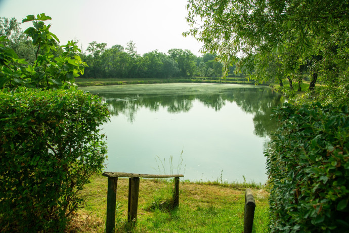 Festa di Primavera Tromello a
