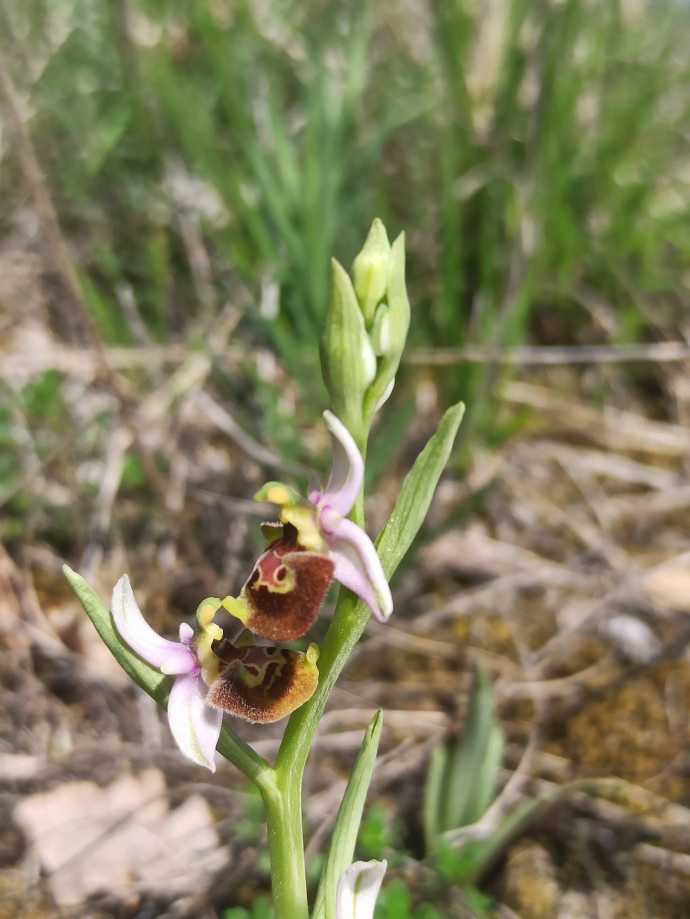 Metti a fuco la natura
