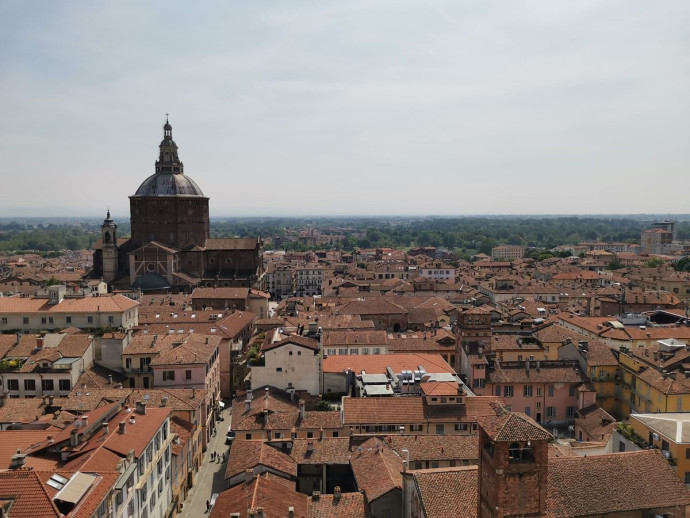 Pavia