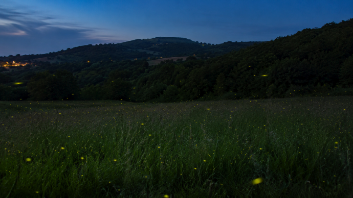 Tramonto magico e festa nel campo a Menconico