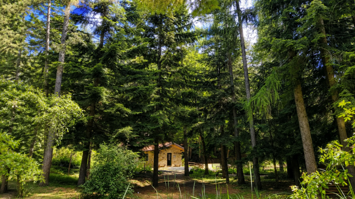 Giardino botanico di Pietra Corva