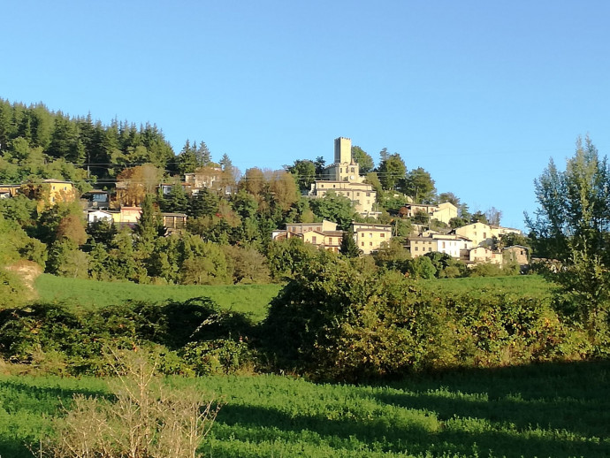 Sagra della Castagna di Pietragavina