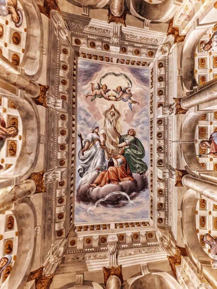 Visite Guidate al Museo della Certosa di Pavia Visite Guidate al Museo della Certosa di Pavia