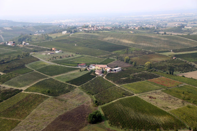 Escursione in notturna e apericena in vigna Escursione in notturna e apericena in vigna