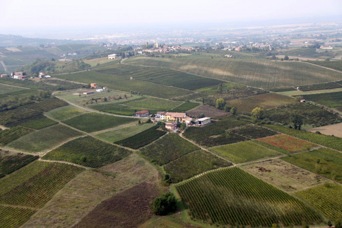 Passeggiata in vigna Passeggiata in vigna