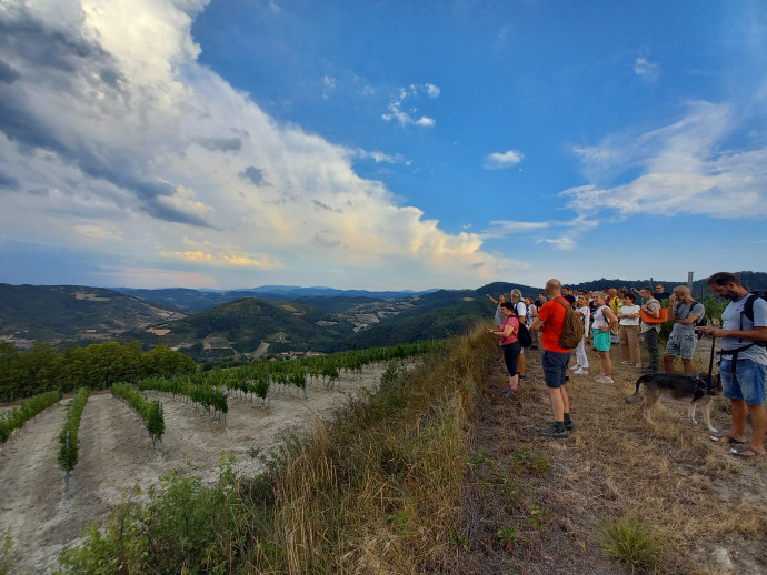 Belvedere di stelle