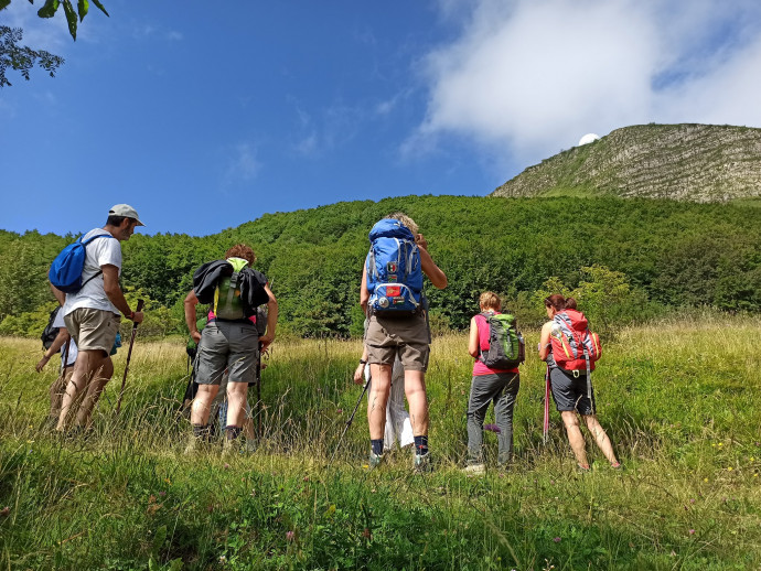 Oltrenatura: sentiero delle farfalle e bosco dei castagni secolari Oltrenatura: sentiero delle farfalle e bosco dei castagni secolari