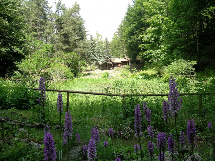 Giardino botanico di Pietra Corva
