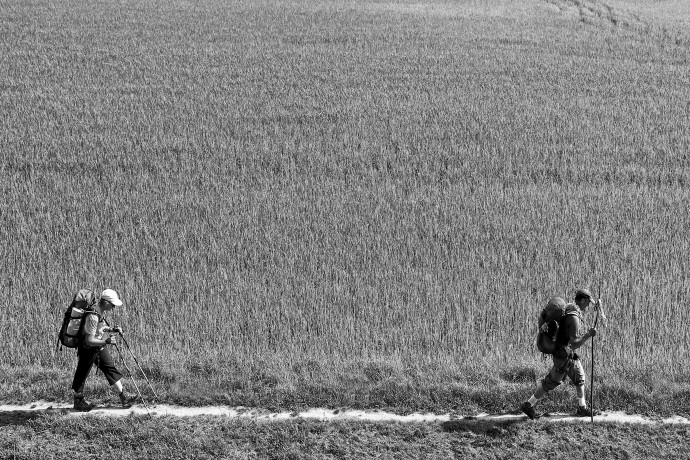 La Via Francigena