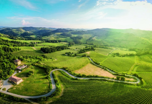Storia e sapori tra colline e pianura Storia e sapori tra colline e pianura