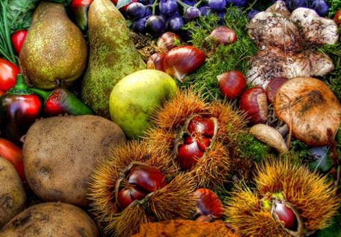 Mercatino d'Autunno a Ponte Nizza