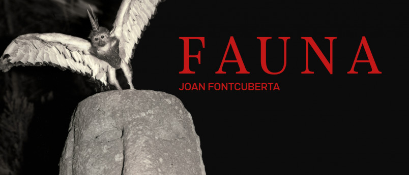 Mostra “Fauna” dell’artista catalano Joan Fontcuberta