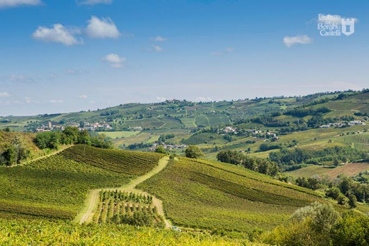 Festa dell'Uva a Borgo Priolo
