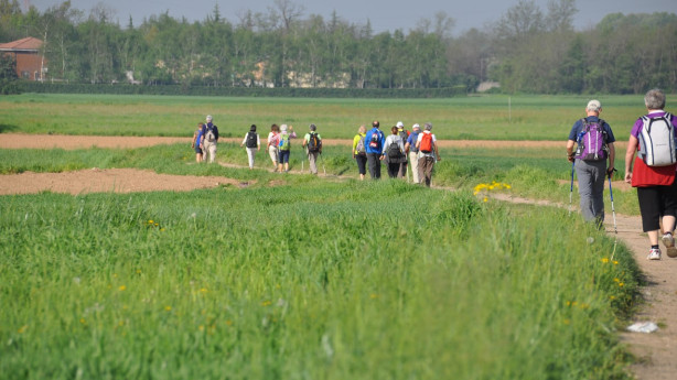 Pavia, City of Walking Routes 2026