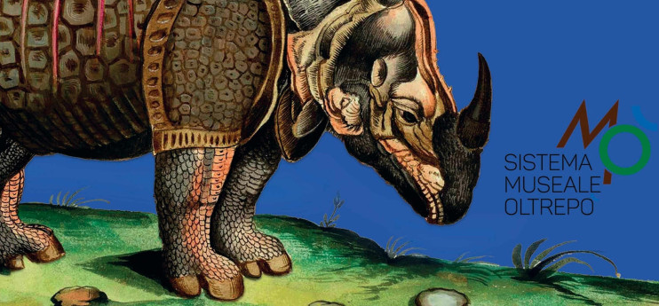 Animali misteriosi tra scienza e leggenda Animali misteriosi tra scienza e leggenda