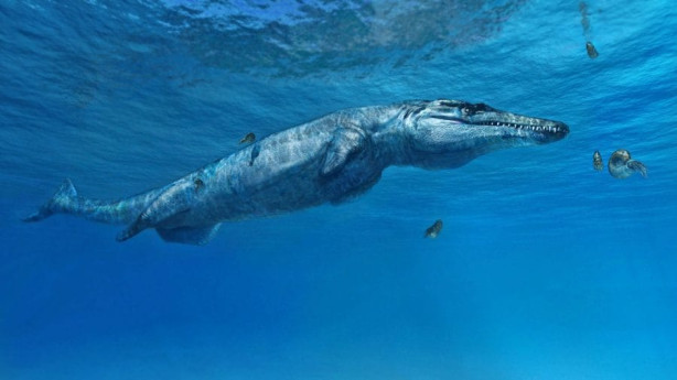 Oceani perduti