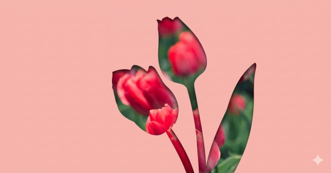 Festa di Primavera 2026 all’Orto Botanico di Pavia