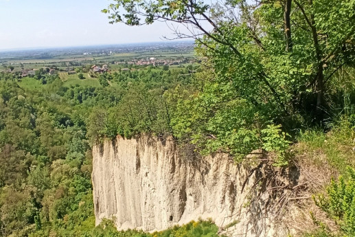 I meravigliosi Orridi di Codevilla