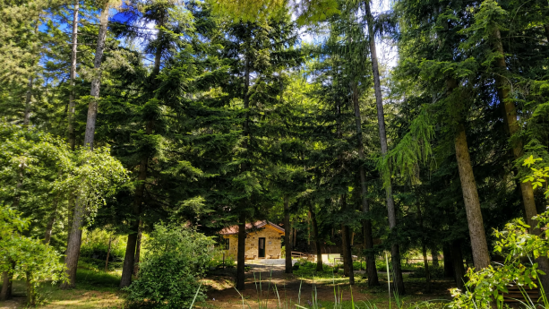 Giardino botanico di Pietra Corva