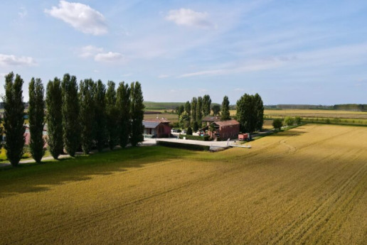 Dalla Risaia al Borgo