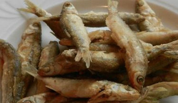 Sagra dell'Alborella Sagra dell'Alborella
