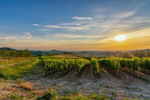 Tramonto sui Vigneti dell'Oltrepo Pavese