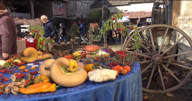 Antica Fiera di San Martino Antica Fiera di San Martino Godiasco (PV)