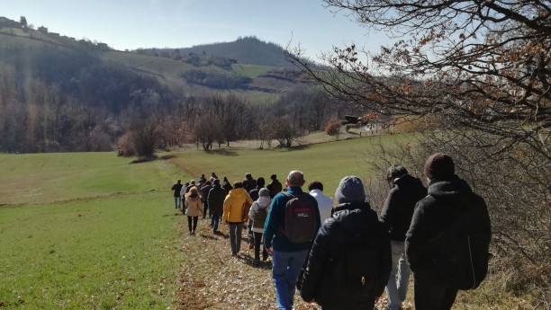Il salice delle vigne sulle colline di Godiasco Il salice delle vigne sulle colline di Godiasco