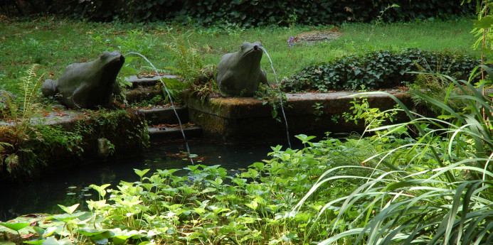 Mostra Antiche varietà agricole locali e Piante spontanee mangerecce 2020 Mostra Antiche varietà agricole locali e Piante spontanee mangerecce 2020