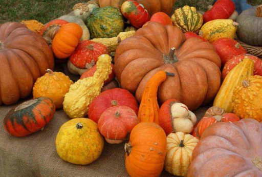 Sagra della Zucca di Alagna 2025
