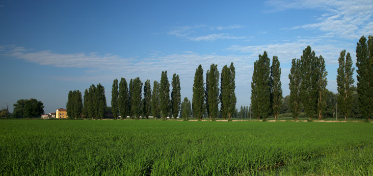RiGenerAzioni Festival