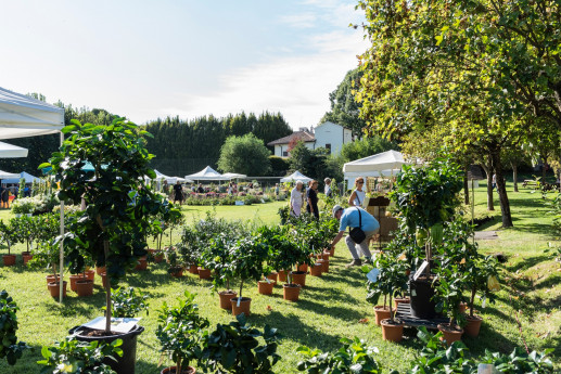 Horti aperti