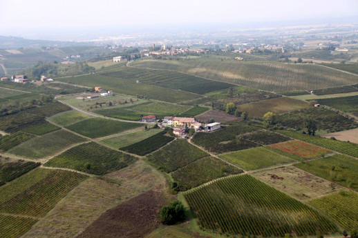 Escursione Notturna in Vigna e Apericena