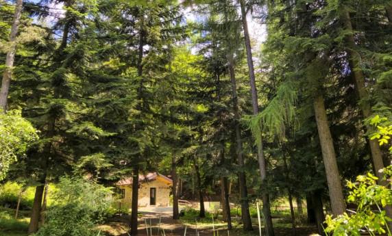 Al Giardino di Pietra Corva si ricomincia dai bambini