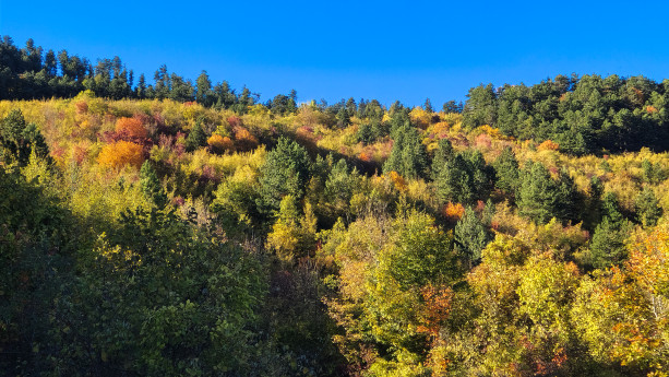 Foliage in Oltrepò Pavese: dove vedere i colori dell'autunno