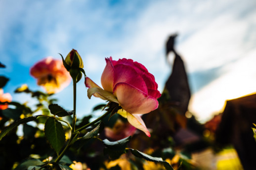 Gardens Pavia, discovering Lombardy