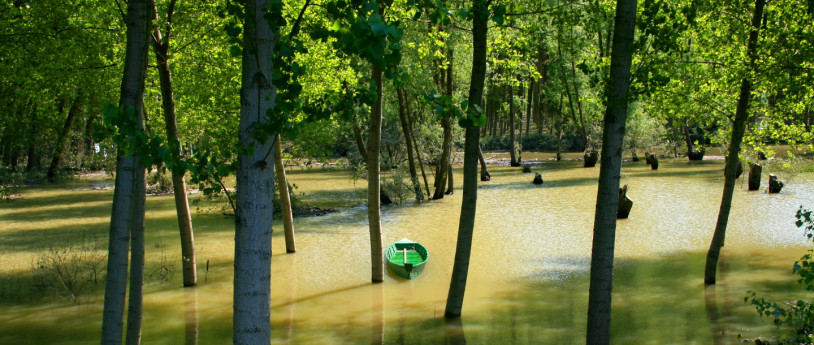 Tra pianura e collina