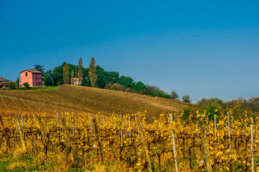 Wine and Flavor Trail in Oltrepò Pavese, history taste and traditions