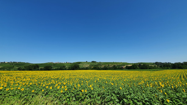 Agritourism in Pavia: where you feel ‘naturally’ at home 