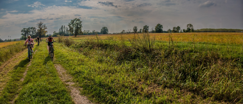 Un tour tra le campagne del pavese Un tour tra le campagne del pavese