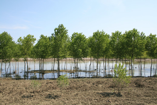 Da Chignolo e Miradolo, tra pianura e collina